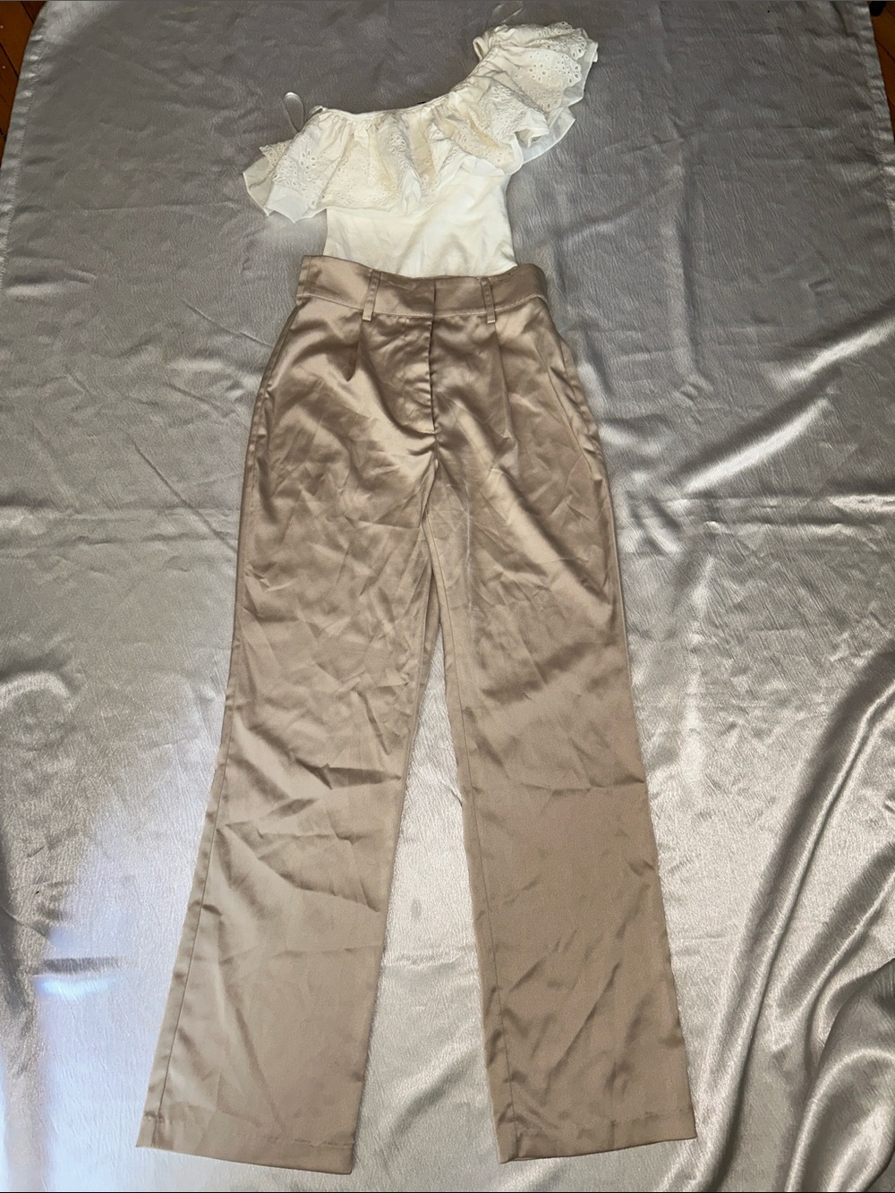 Zara Wide-Leg High-Rise Pants in Taupe
